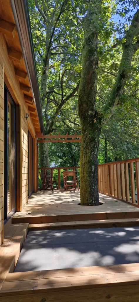endor treehouse guimaraes14