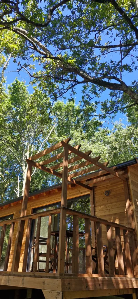 endor treehouse guimaraes16